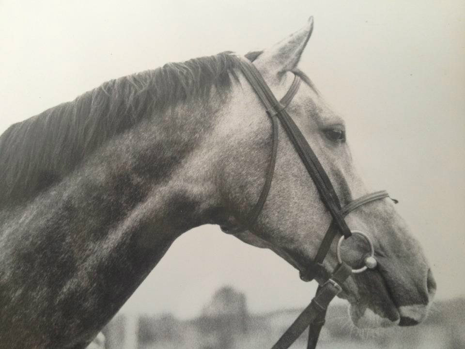 Caddy
Foto Rebecca Lagh