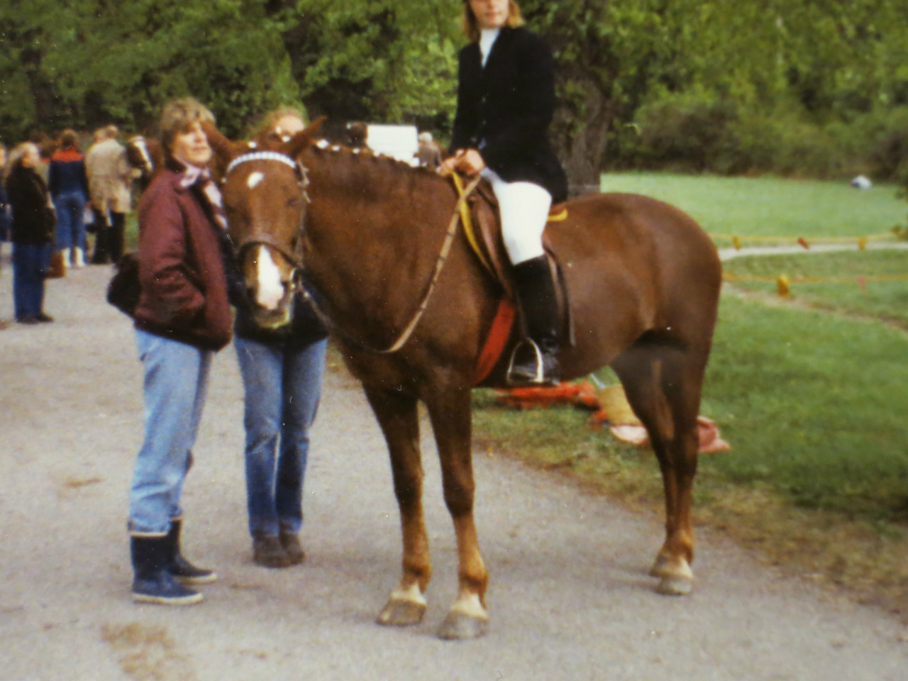 Ceres 1981 
Dressyrtävling Äppelviken
Foto Agneta Carlsson