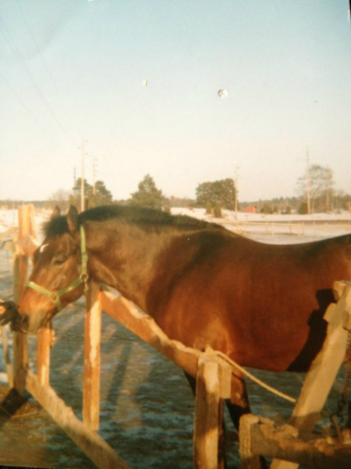 Charlie
Foto Elin Kraft