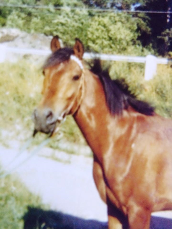 Foto Annica Rinaldo