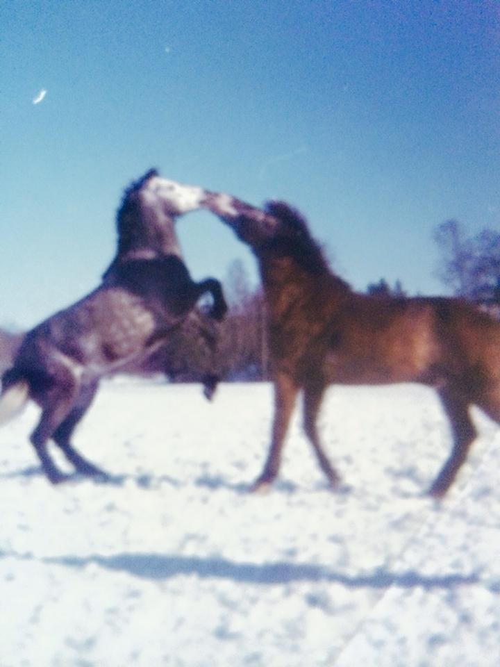 Pynt & Fredag Foto Annica Rinaldo