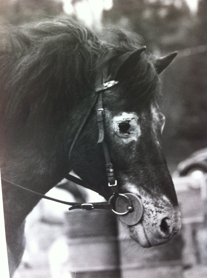 Foto Lillemor Back