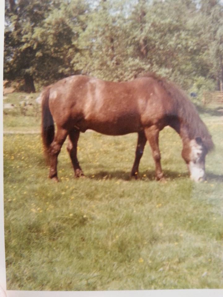 Foto Annica Isberg