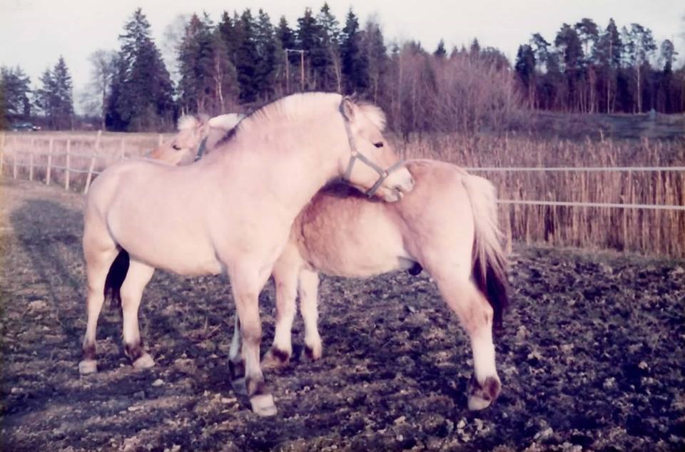 Eke & Kläppe Foto Tina L Frausin