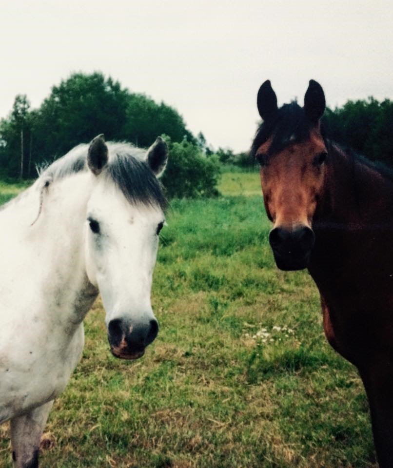 Knutte & Ampir Foto Lise-Lotte Englund