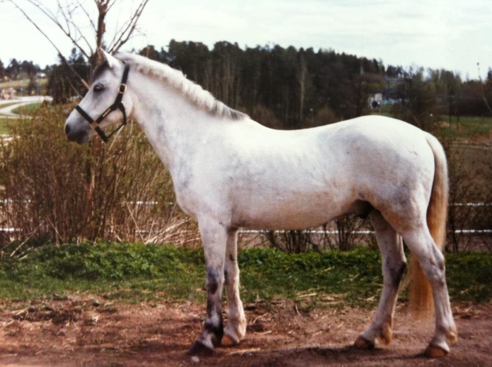 Foto Lise-Lotte Englund