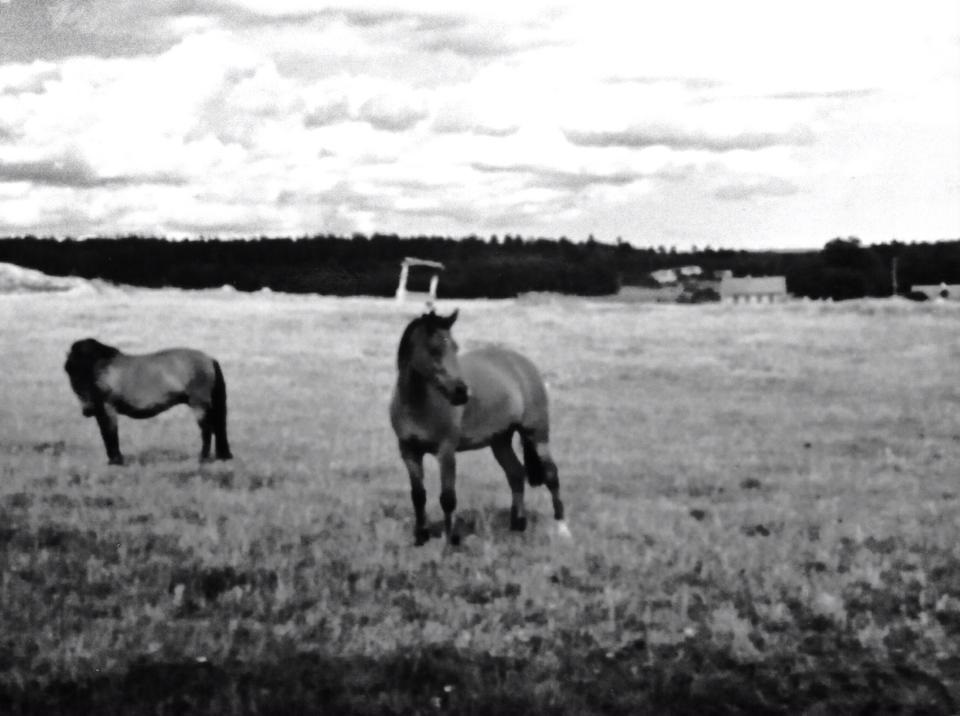 Sofie & Krummis Foto Anna Furberg