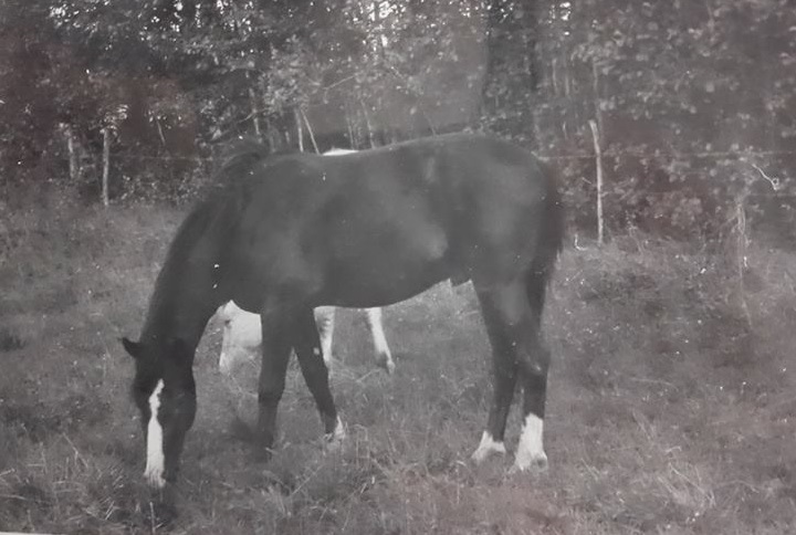 Foto Karin Boëthius