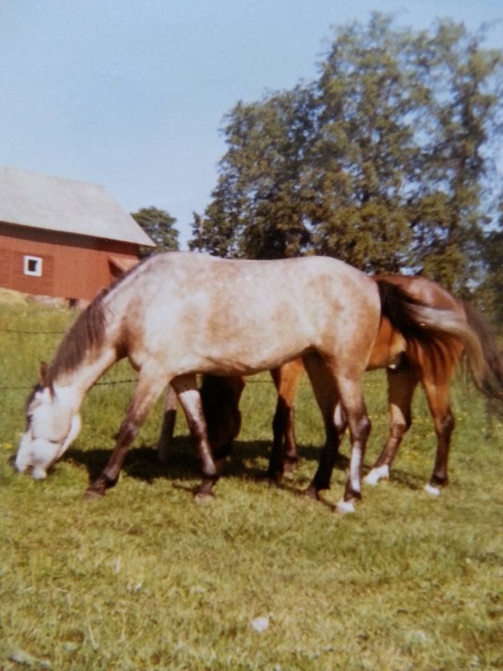 Foto Annica Isberg