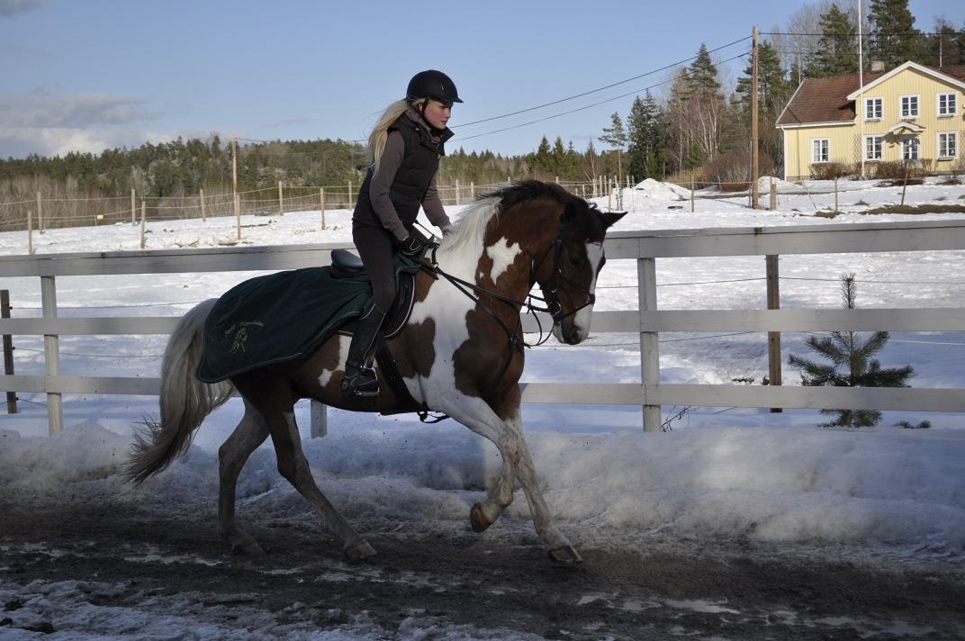 Fanny & Piff aka Wille (Wildfire) Foto Anna Lindqvist