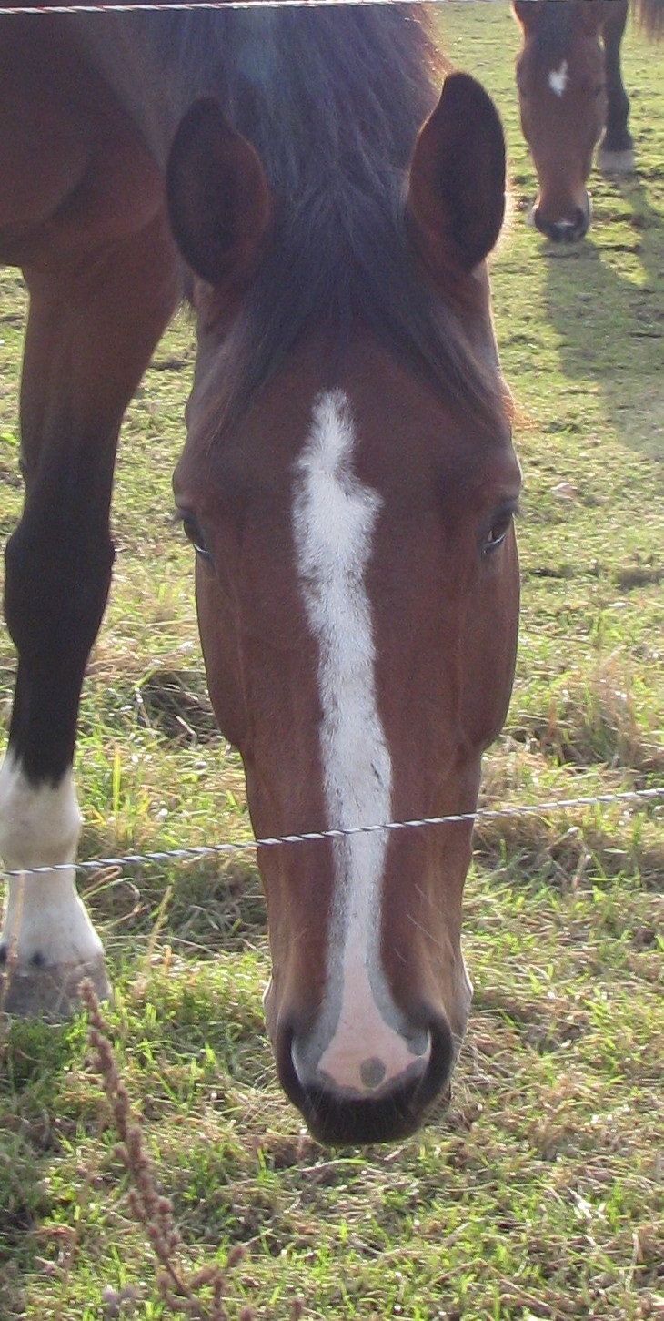 2007-10-28 