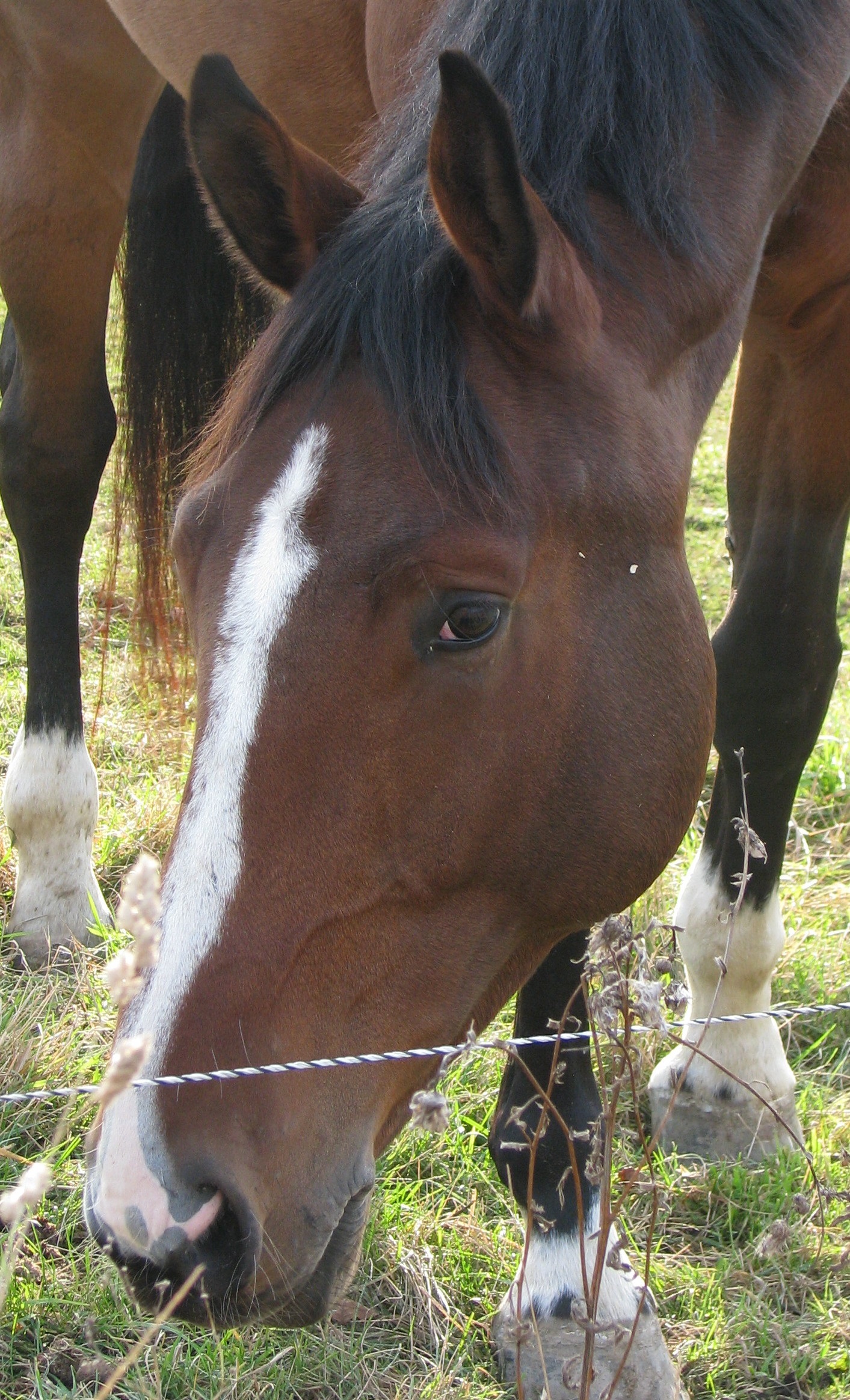 2007-10-28 