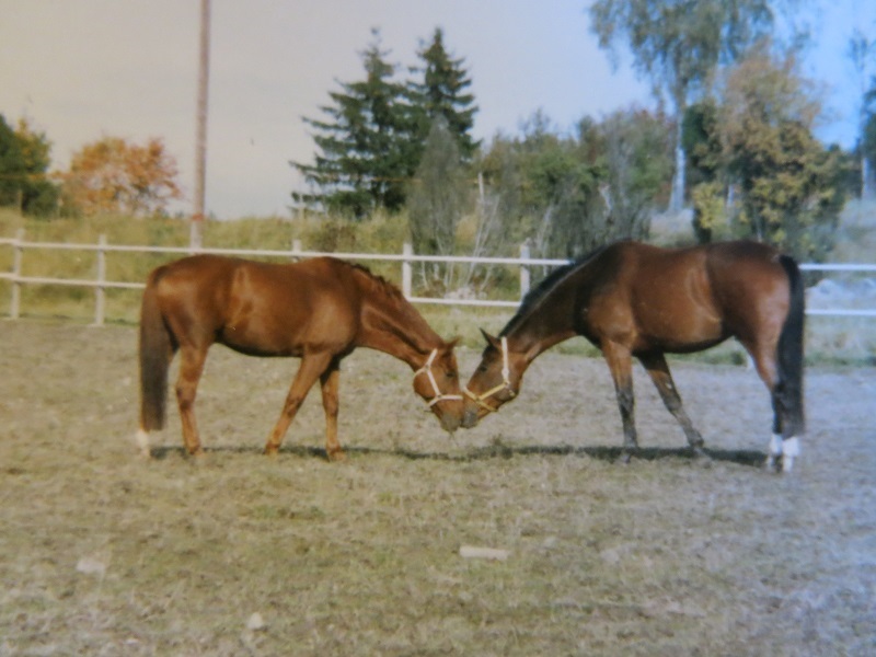 Valentino & Caster