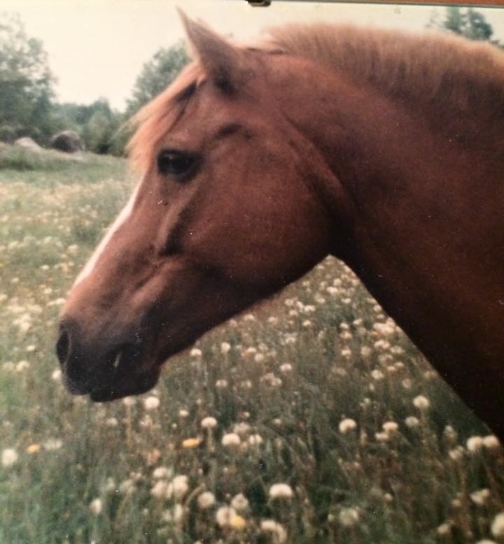 Foto Nina Lagh