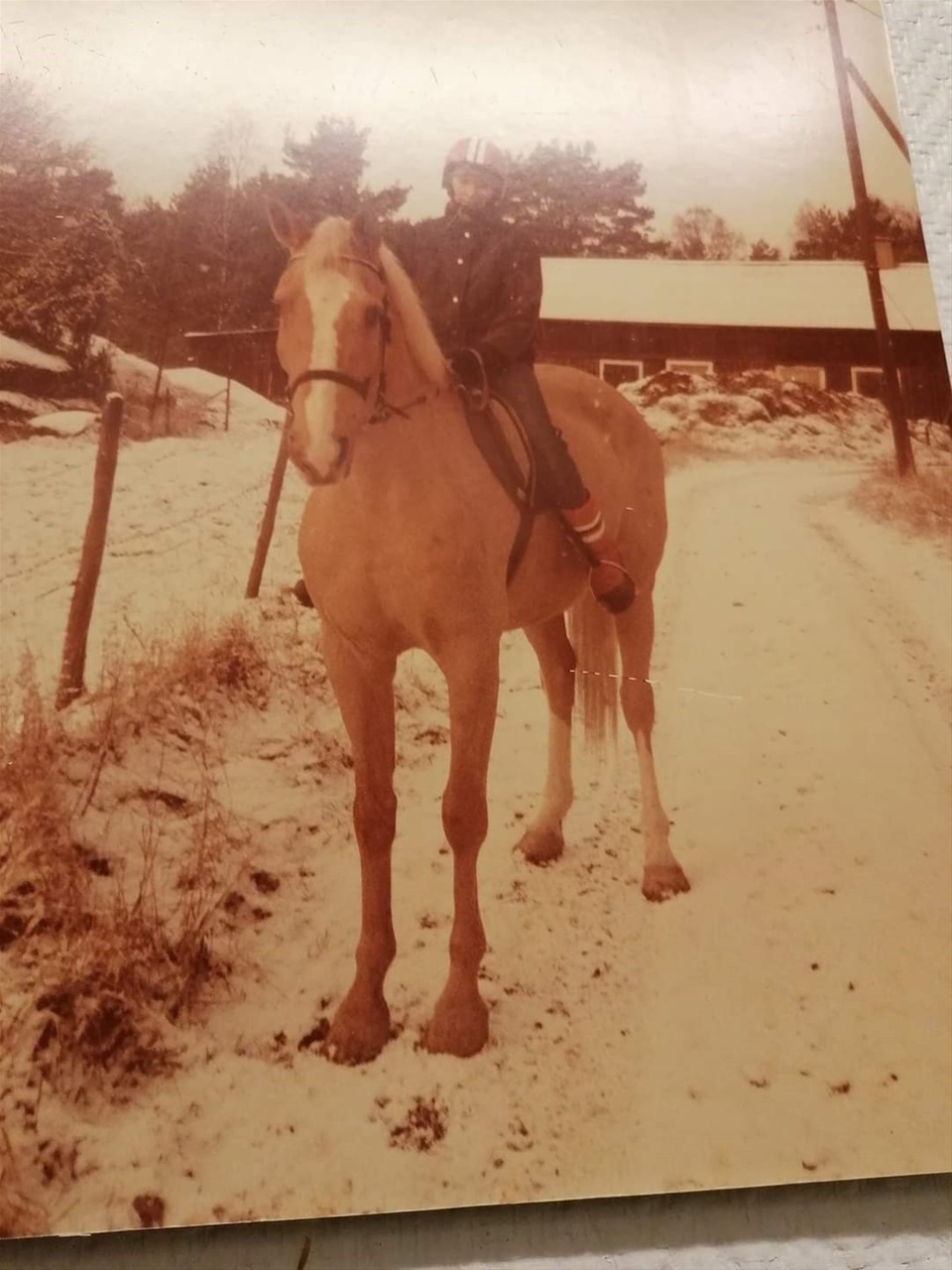 Rebell & Inger Lindegren ca 1981 Foto Leif Lindegren 