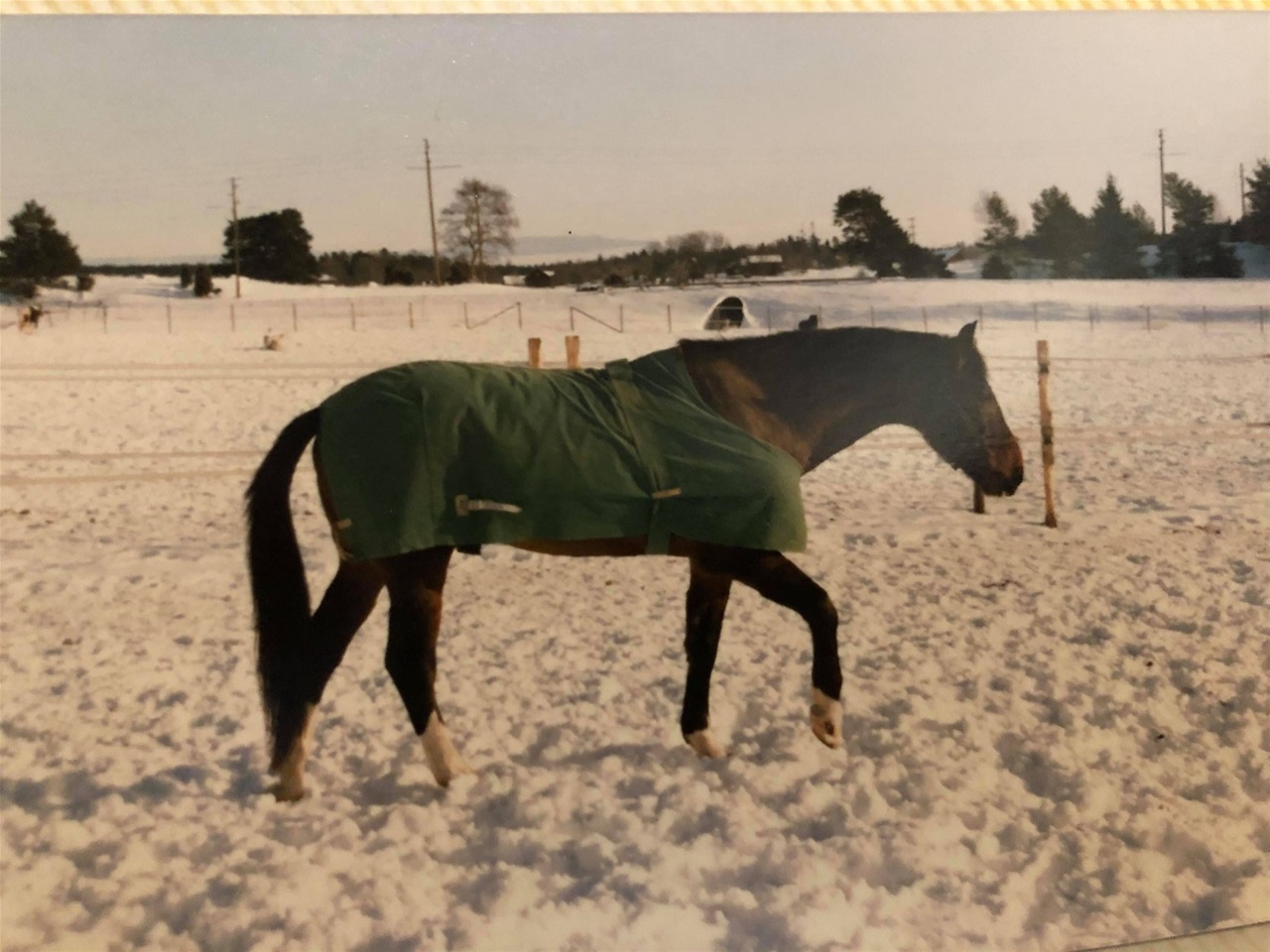 Foto Jenny Klasson