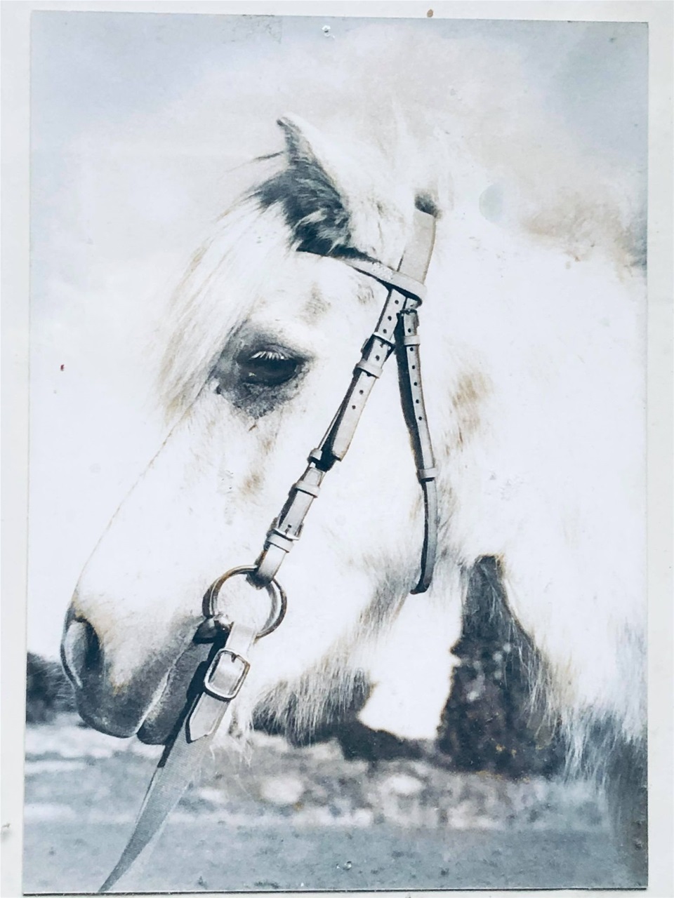 Foto Marlene Kamsvik